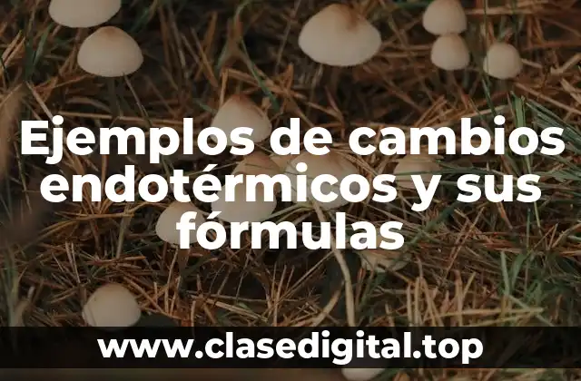 Ejemplos de cambios endotérmicos y sus fórmulas