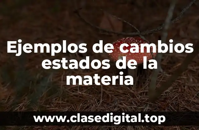 Ejemplos de cambios estados de la materia