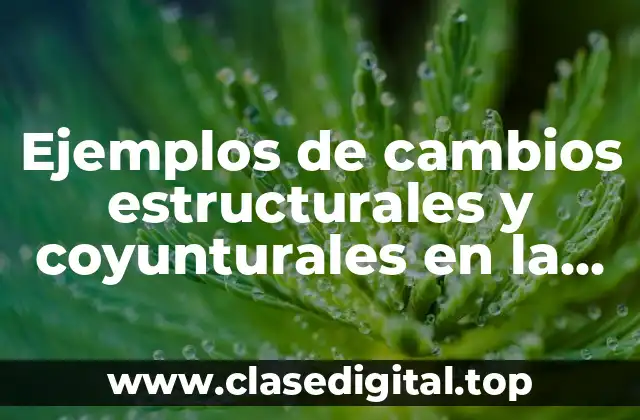 Ejemplos de cambios estructurales y coyunturales en la vida cotidiana