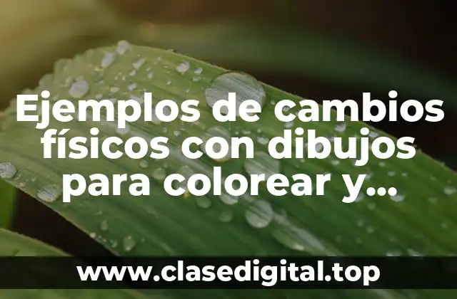 Ejemplos de cambios físicos con dibujos para colorear y Significado