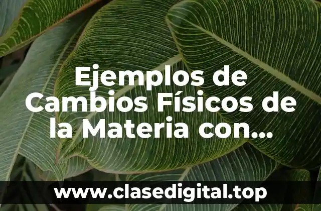 Ejemplos de Cambios Físicos de la Materia con dibujos