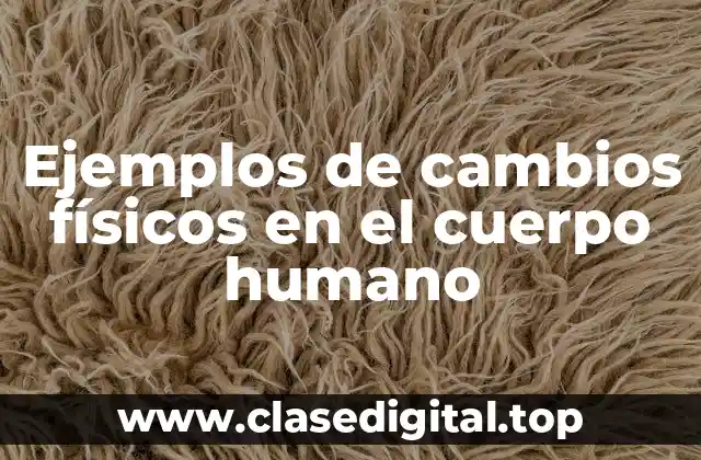 Ejemplos de cambios físicos en el cuerpo humano