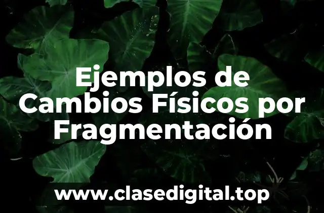 Ejemplos de Cambios Físicos por Fragmentación