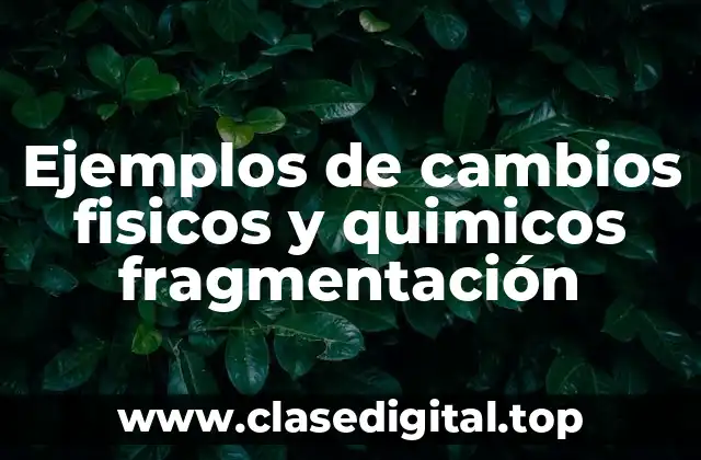 Ejemplos de fragmentación