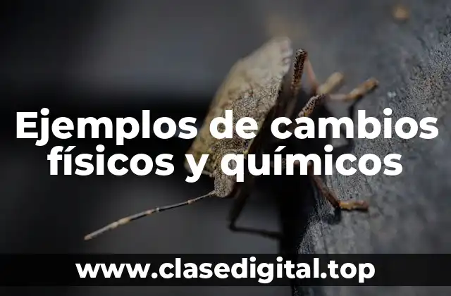 Ejemplos de cambios físicos y químicos
