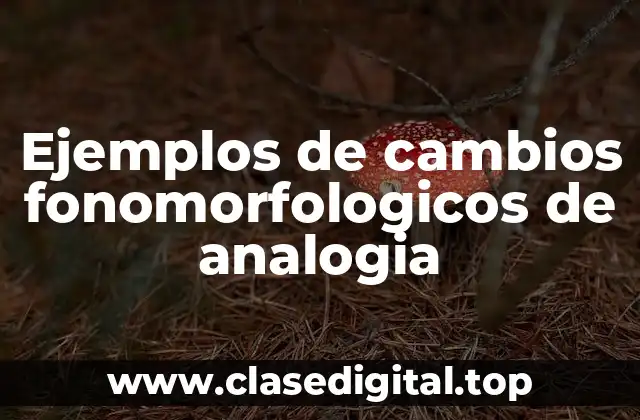 Ejemplos de cambios fonomorfologicos de analogia