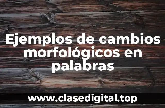 Ejemplos de cambios morfológicos en palabras