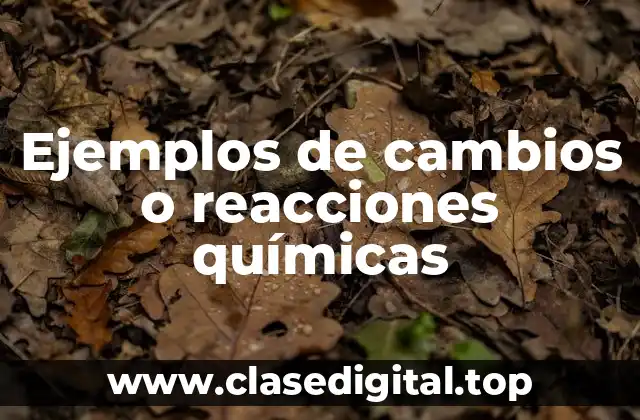 Ejemplos de cambios o reacciones químicas