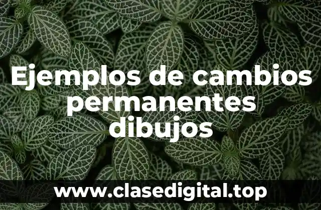 Ejemplos de cambios permanentes dibujos