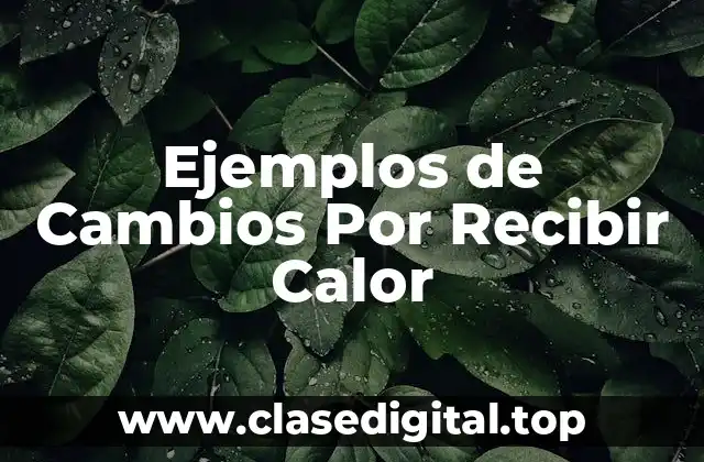 Ejemplos de Cambios Por Recibir Calor