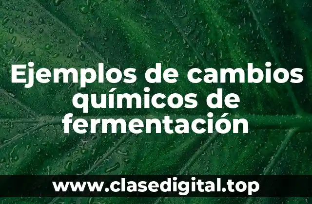 Ejemplos de cambios químicos de fermentación
