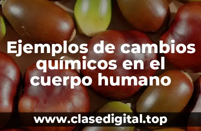 Ejemplos de cambios químicos en el cuerpo humano