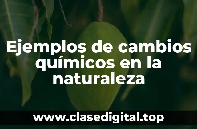 Ejemplos de cambios químicos en la naturaleza