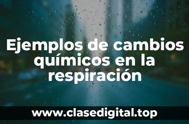 Ejemplos de cambios químicos en la respiración