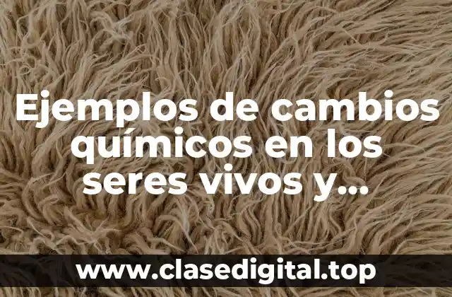 Ejemplos de cambios químicos en los seres vivos y Significado