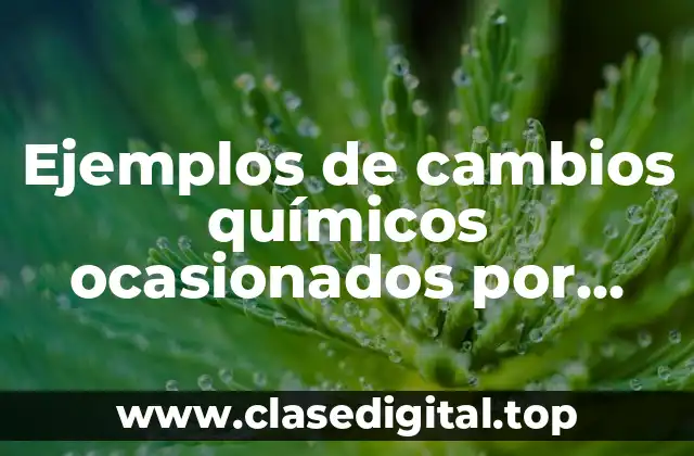 Ejemplos de cambios químicos ocasionados por calor