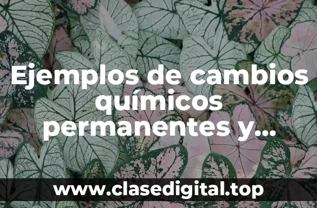 Ejemplos de cambios químicos permanentes y Significado