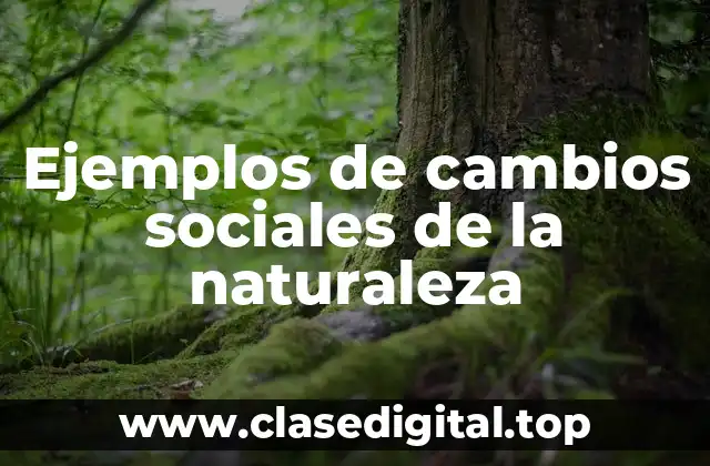 Ejemplos de cambios sociales de la naturaleza