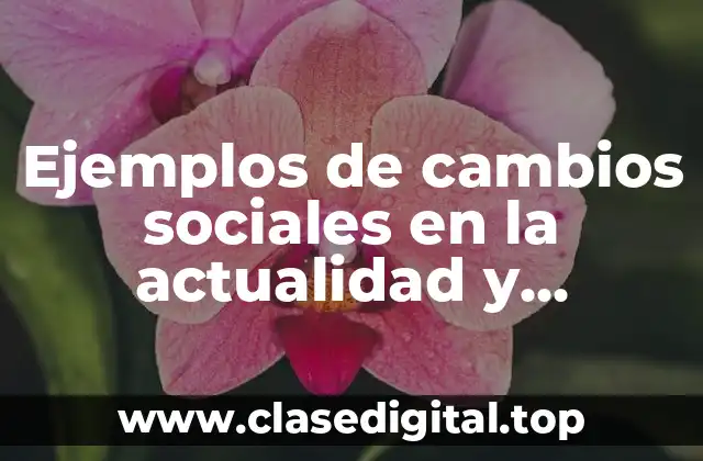 Ejemplos de cambios sociales en la actualidad y Significado