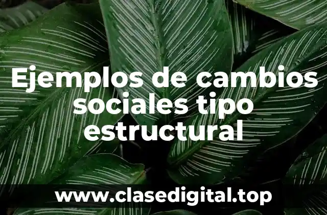 Ejemplos de cambios sociales tipo estructural