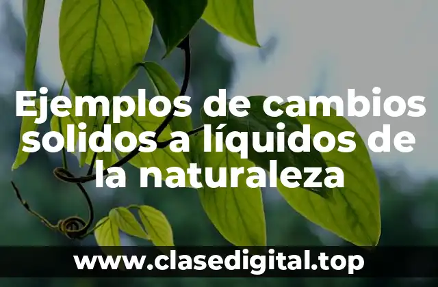Ejemplos de cambios solidos a líquidos de la naturaleza