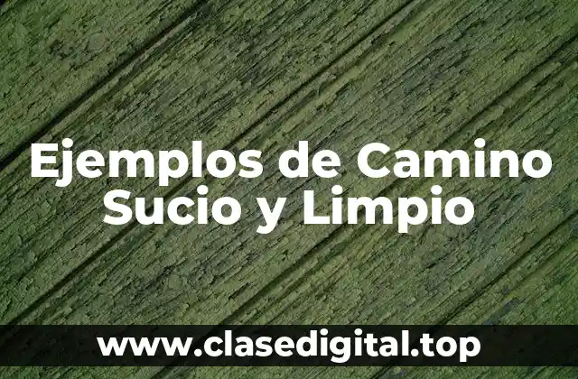 Ejemplos de Camino Sucio y Limpio