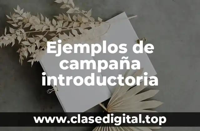 Ejemplos de campaña introductoria