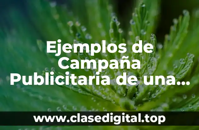 Ejemplos de Campaña Publicitaria de una Silla Ergonomica