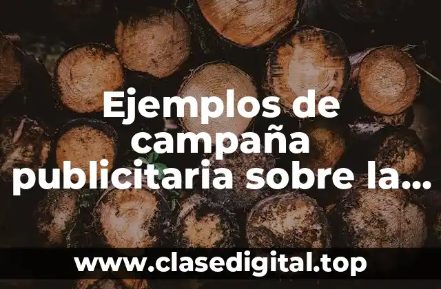 Ejemplos de campaña publicitaria sobre la contaminación