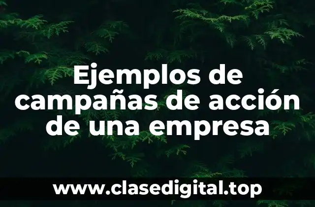 Ejemplos de campañas de acción de una empresa