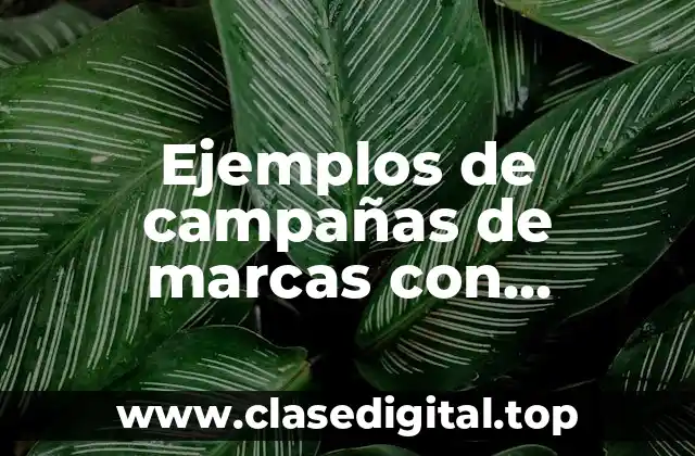 Ejemplos de campañas de marcas con persuasión