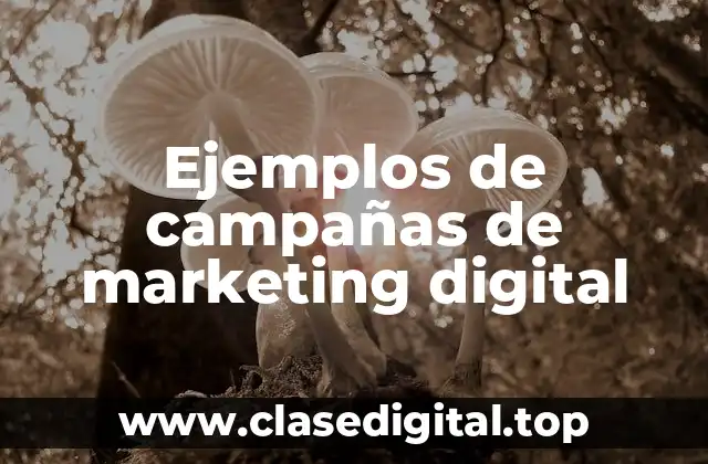 Ejemplos de campañas de marketing digital