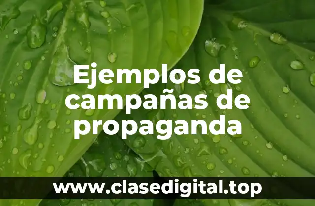 Ejemplos de campañas de propaganda