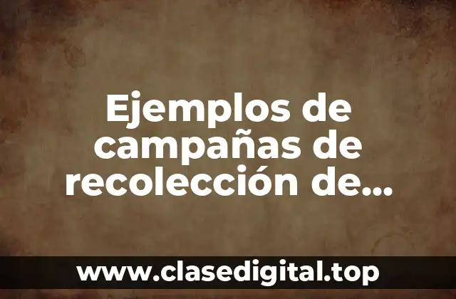Ejemplos de campañas de recolección de juguetes y Significado
