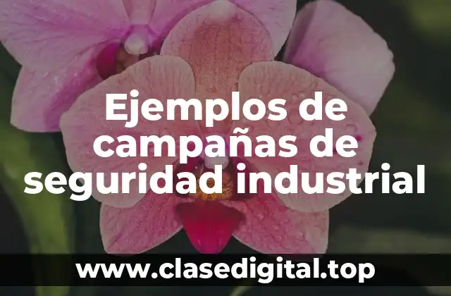 Ejemplos de campañas de seguridad industrial