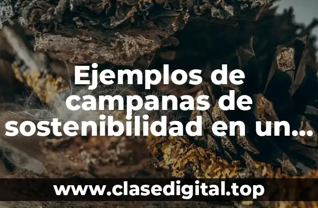 Ejemplos de campanas de sostenibilidad en un negocio