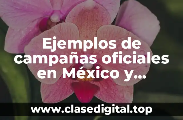 Ejemplos de campañas oficiales en México y Significado