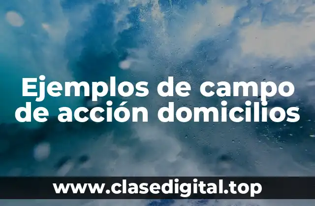 Ejemplos de campo de acción domicilios