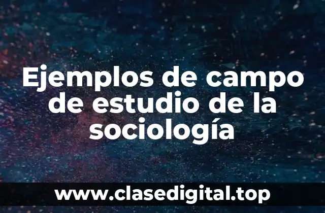 Ejemplos de campo de estudio de la sociología