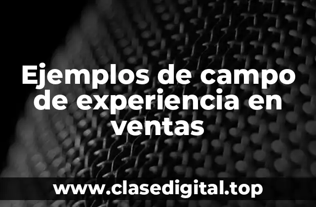Ejemplos de campo de experiencia en ventas