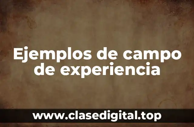 Ejemplos de campo de experiencia