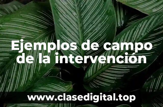 Ejemplos de campo de la intervención