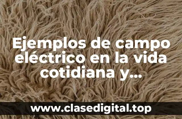 Ejemplos de campo eléctrico en la vida cotidiana y Significado