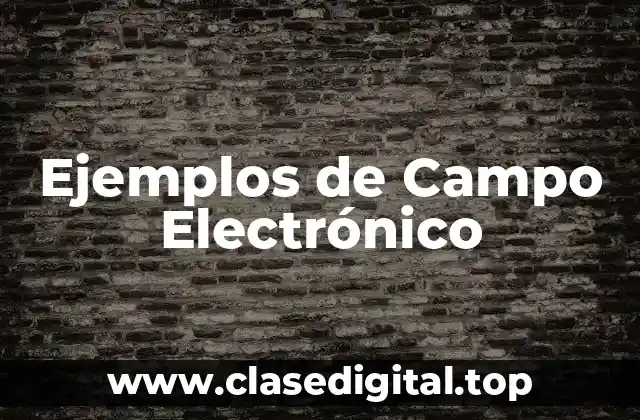 Ejemplos de Campo Electrónico