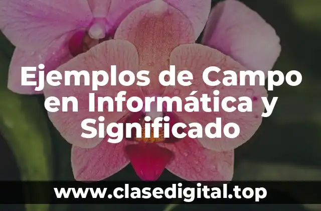 Ejemplos de Campo en Informática