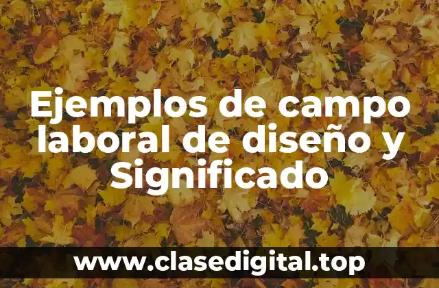 Ejemplos de campo laboral de diseño y Significado