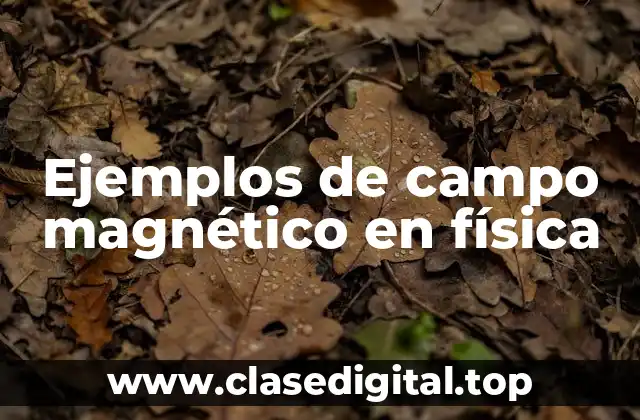 Ejemplos de campo magnético en física