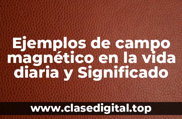 Ejemplos de campo magnético en la vida diaria y Significado