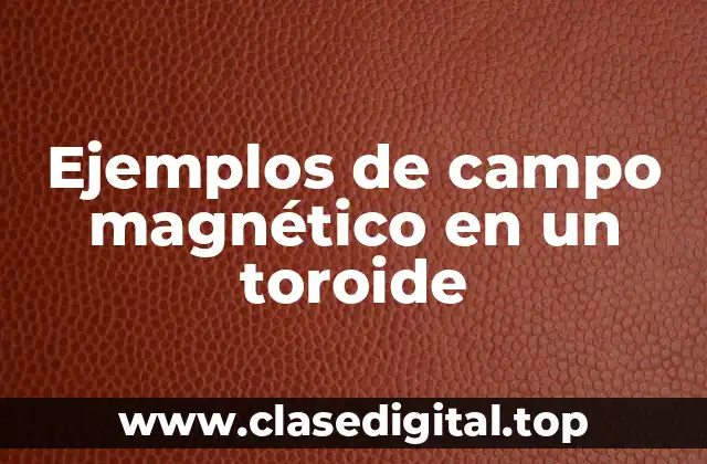 Ejemplos de campo magnético en un toroide