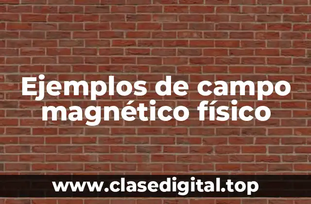 Ejemplos de campo magnético físico